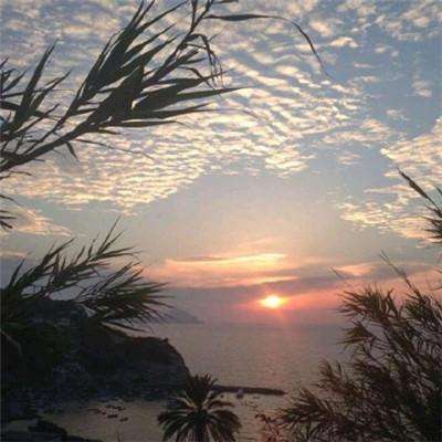 九游恋之花嫁手游下载
