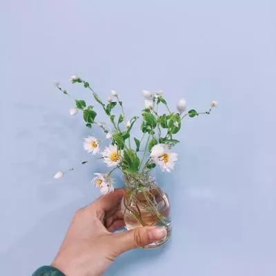 一零计划10project手游下载